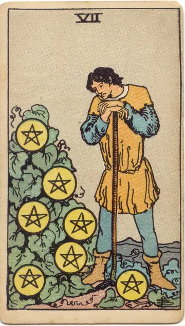 ไพ่ทาโรต์ 7 เหรียญ Seven of Pentacles