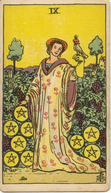 ไพ่ทาโรต์ 9 เหรียญ Nine of Pentacles