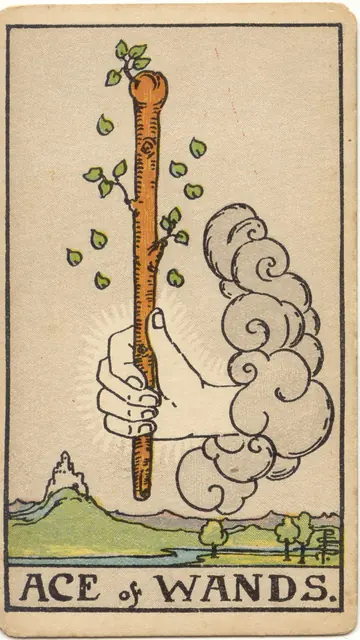 ไพ่ทาโรต์ เอซ ไม้เท้า Ace of Wands